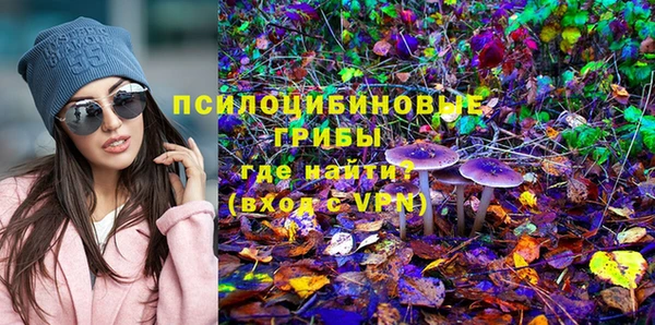 PSILOCYBIN Аркадак