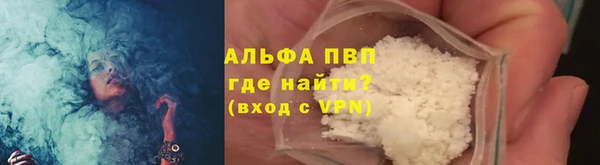 PSILOCYBIN Аркадак