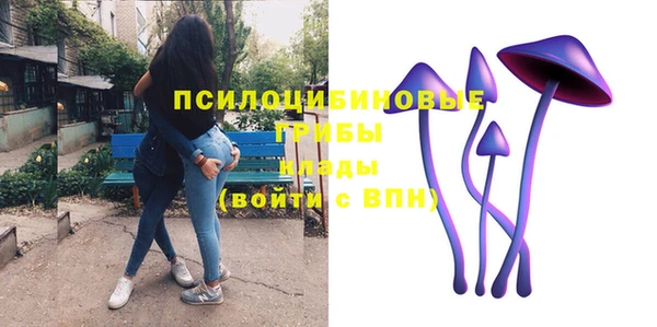 трава Армянск