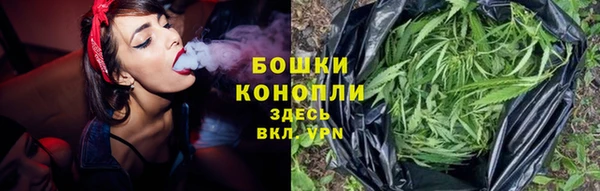 PSILOCYBIN Аркадак