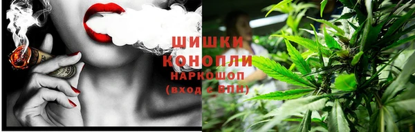 PSILOCYBIN Аркадак
