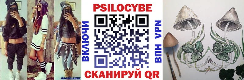 наркошоп  Павлово  Псилоцибиновые грибы Psilocybe 